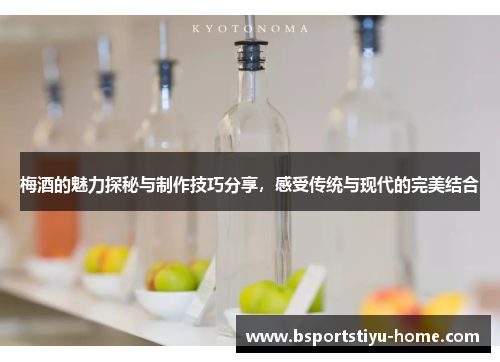 梅酒的魅力探秘与制作技巧分享，感受传统与现代的完美结合