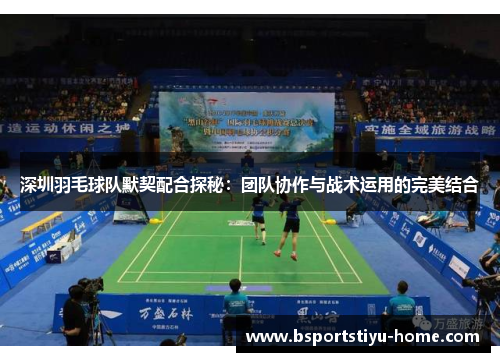 深圳羽毛球队默契配合探秘：团队协作与战术运用的完美结合